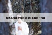 服务器搭建教程自建（服务器自己搭建）
