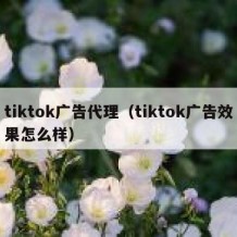 tiktok广告代理（tiktok广告效果怎么样）