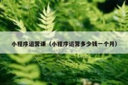 小程序运营课（小程序运营多少钱一个月）