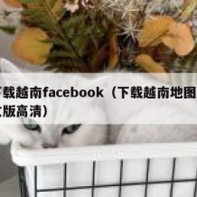 下载越南facebook（下载越南地图中文版高清）