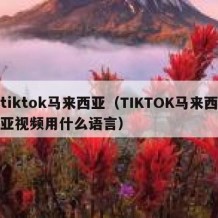 tiktok马来西亚（TIKTOK马来西亚视频用什么语言）