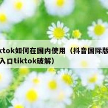 tiktok如何在国内使用（抖音国际版免费入口tiktok破解）