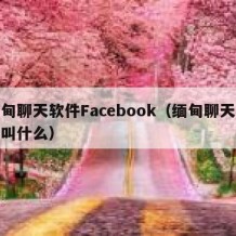 缅甸聊天软件Facebook（缅甸聊天软件叫什么）