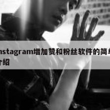 instagram增加赞和粉丝软件的简单介绍