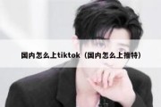 国内怎么上tiktok（国内怎么上推特）