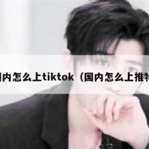 国内怎么上tiktok（国内怎么上推特）