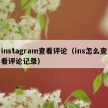 instagram查看评论（ins怎么查看评论记录）