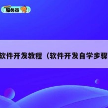 自学软件开发教程（软件开发自学步骤视频）