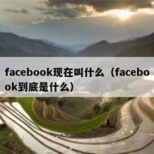 facebook现在叫什么（facebook到底是什么）