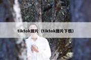 tiktok图片（tiktok图片下载）