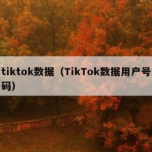 tiktok数据（TikTok数据用户号码）