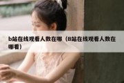 b站在线观看人数在哪（B站在线观看人数在哪看）