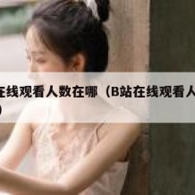 b站在线观看人数在哪（B站在线观看人数在哪看）