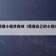 自己搭建小程序商城（搭建自己的小程序平台）