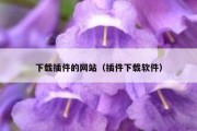下载插件的网站（插件下载软件）