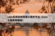 saas系统自助搭建小程序平台（saas小程序有哪些）