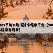 saas系统自助搭建小程序平台（saas小程序有哪些）