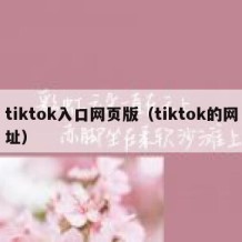 tiktok入口网页版（tiktok的网址）