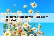 国内如何上tiktok海外版（怎么上国外版tiktok）