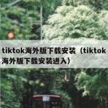 tiktok海外版下载安装（tiktok海外版下载安装进入）