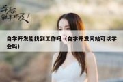 自学开发能找到工作吗（自学开发网站可以学会吗）