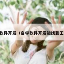 自学软件开发（自学软件开发能找到工作吗）