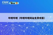 哔哩哔哩（哔哩哔哩网站免费观看）