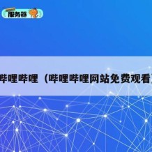 哔哩哔哩（哔哩哔哩网站免费观看）