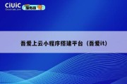 吾爱上云小程序搭建平台（吾爱it）