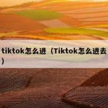 tiktok怎么进（Tiktok怎么进去）