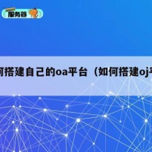 如何搭建自己的oa平台（如何搭建oj平台）