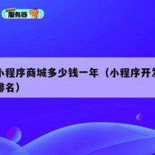 微盟小程序商城多少钱一年（小程序开发公司十大排名）
