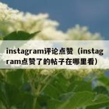 instagram评论点赞（instagram点赞了的帖子在哪里看）