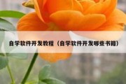 自学软件开发教程（自学软件开发哪些书籍）