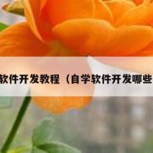 自学软件开发教程（自学软件开发哪些书籍）