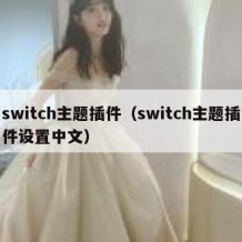 switch主题插件（switch主题插件设置中文）