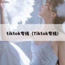 tiktok专线（Tiktok专线）