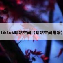 tiktok咕咕空间（咕咕空间是啥）