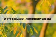 如何搭建网站运营（如何搭建网站运营模式）