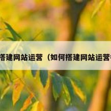 如何搭建网站运营（如何搭建网站运营模式）