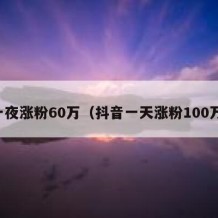 一夜涨粉60万（抖音一天涨粉100万）