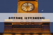 自学开发编程（自学开发编程难吗）