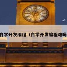 自学开发编程（自学开发编程难吗）