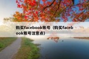 购买facebook账号（购买facebook账号注意点）