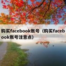 购买facebook账号（购买facebook账号注意点）