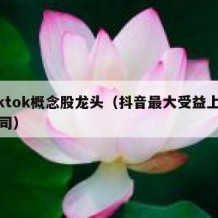 tiktok概念股龙头（抖音最大受益上市公司）