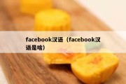 facebook汉语（facebook汉语是啥）