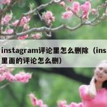 instagram评论里怎么删除（ins里面的评论怎么删）