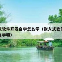 嵌入式软件开发自学怎么学（嵌入式软件开发可以自学嘛）