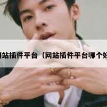 网站插件平台（网站插件平台哪个好）